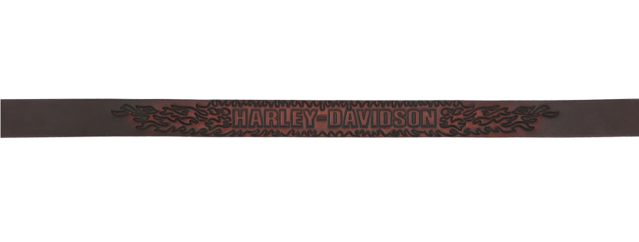 Mens Flame Harley-Davidson Logo Belt