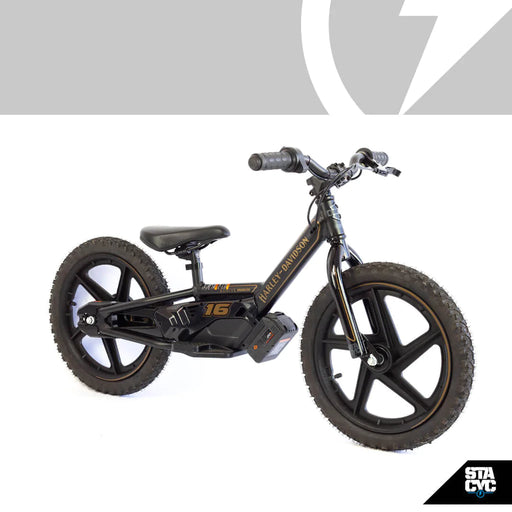 Harley davidson online electric kids bike