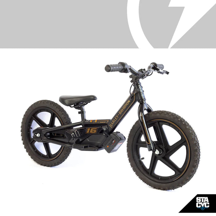 STACYC H-D 16E Drive Brushless