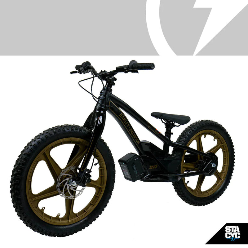 STACYC Harley-Davidson 20E Drive Rigid Fork