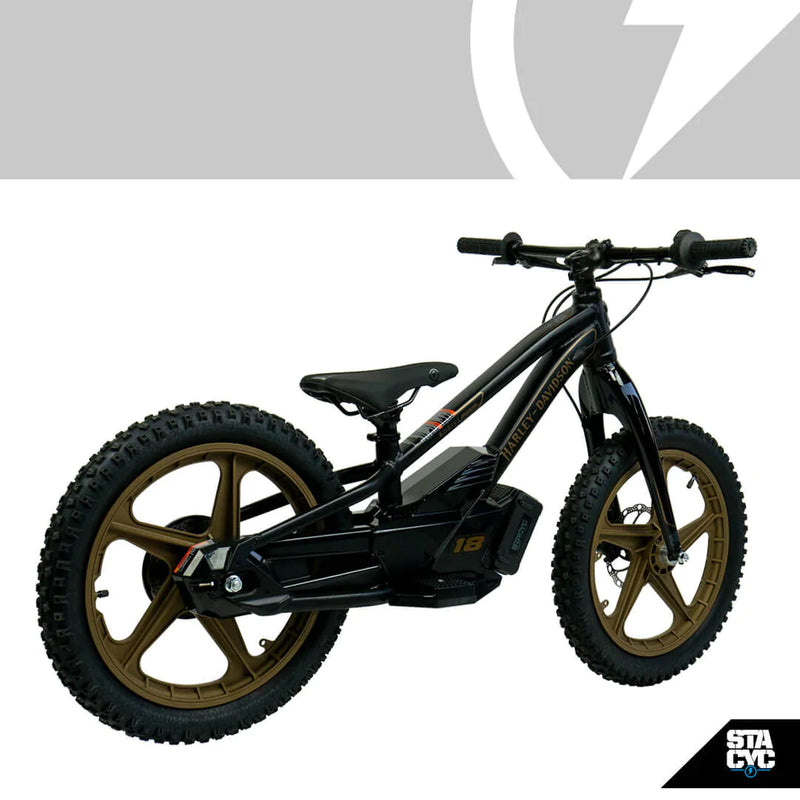 STACYC Harley-Davidson Iron 18E
